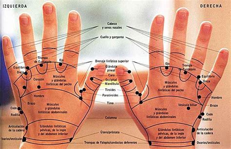 Principales Beneficios De La Reflexolog A De Las Manos Deusto Salud