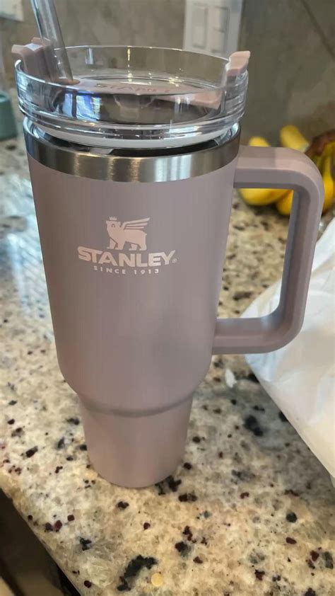 Purple Stanley 40 Oz Tumbler Stainless Steel Drinkware With Straw