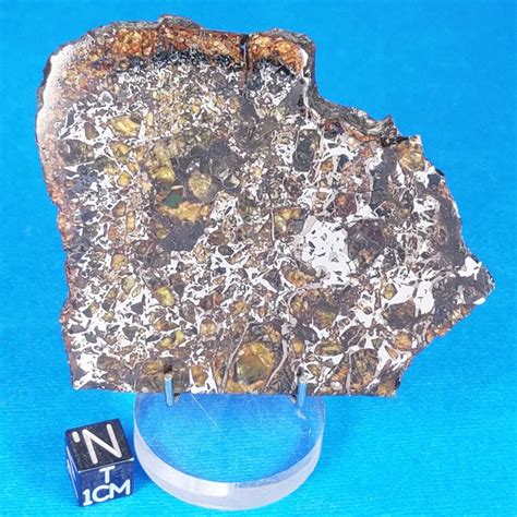 Meteorites for sale at mile high meteorites authentic historic mars and ...