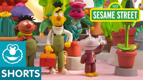 Sesame Street Bert And Ernie Open A Flower Shop Bert And Ernies