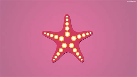 Starfish HD Wallpaper 31942 - Baltana