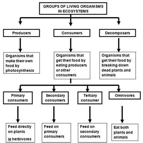 Physiographic Regions Definition Features Factors