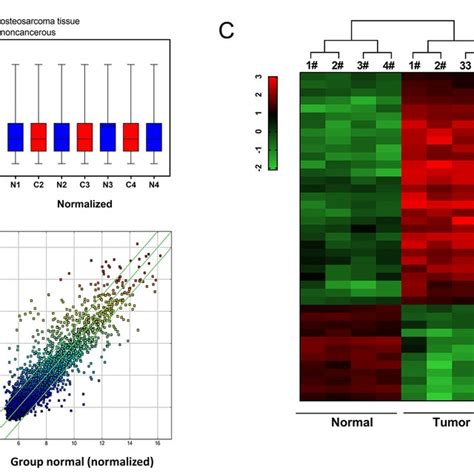 Circular RNA Microarray Expression Profiles Of Osteosarcoma Tissue And