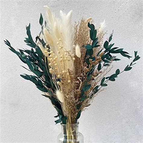 Amazon Natural Dried Pampas Grass Bouquet Fluffy Pampas Grass