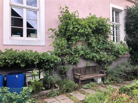 Magnus Heier Lebt Im Haus Henrichenburg Mit H Hnern Und Geistern