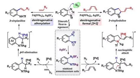 苯并三氮唑的“活化”：钯催化脱氮偶联反应和环加成反应