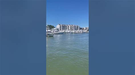 Virginia Beach Youtube
