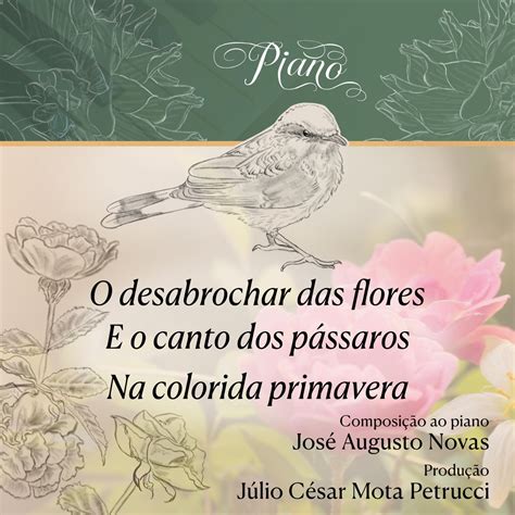 O Desabrochar Das Flores E O Canto Dos P Ssaros Na Colorida Primavera