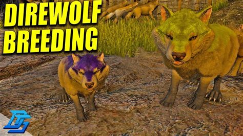 Direwolf Breeding Mutations Ark Survival Evolved Gameplay Part