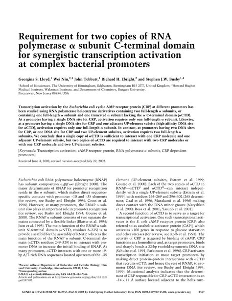 Pdf Requirement For Two Copies Of Rna Polymerase Subunit C Terminal Domain For Synergistic