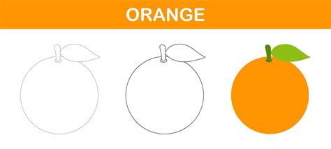 Orange Tracing And Coloring Worksheet For Kids 12139245 Vector Art At