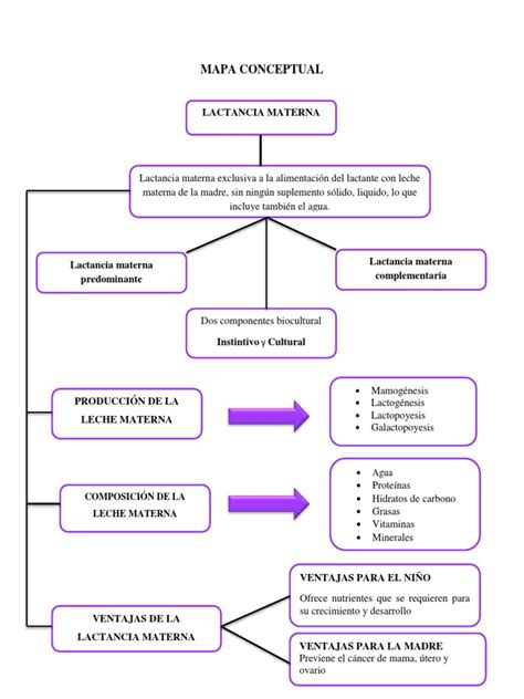 Mapa Conceptual Lecha Materna Pdf Amamantamiento La Leche Materna