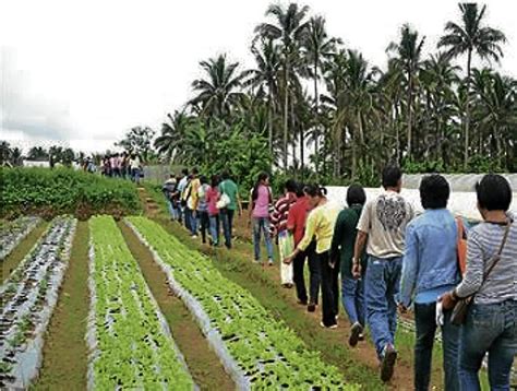 Farmlands Are Also For Tourists Inquirer News