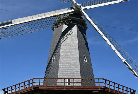 Murphy Windmill At Golden Gate Park San Francisco Photograph By Shawn O