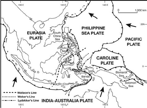 Principal Tectonic Plates Of SE Asia Arrows Show Plate Motions