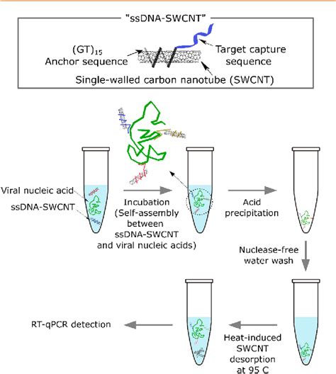 Figure From Extraction Of Viral Nucleic Acids With Carbon Nanotubes