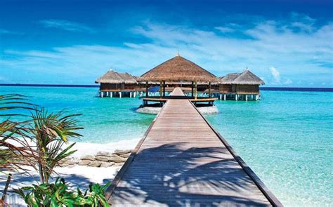 Get The Best Of Marine Life And Culture At This Exquisite Maldivian