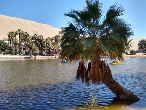 Lima Ballestas Islands Huacachina Oasis Nazca Lines Tour Getyourguide