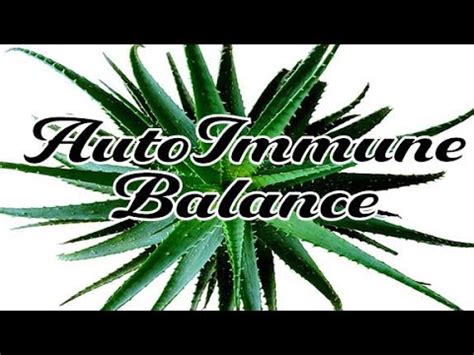 AUTOIMMUNE BALANCE YouTube