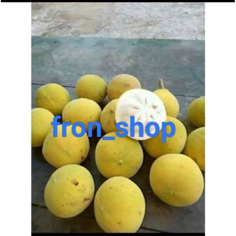 Jual Buah Kecapi Segar Buah Kecapi Manis Kg Shopee Indonesia