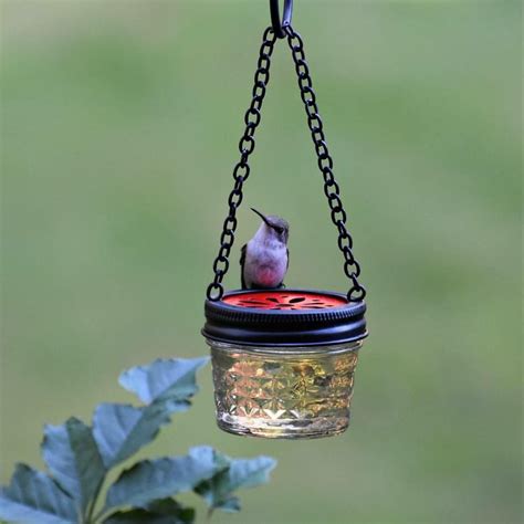 Diy Homemade Hummingbird Feeder Ideas To Attract Them To Your Home