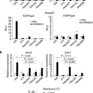 Analyses Of Tcf Lef Mediated Transcriptional Activity A Histogram