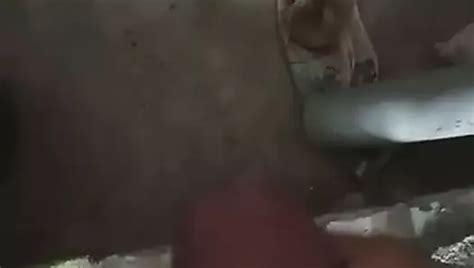 Cumming After Watching Porn Videos Gay Porn E Xhamster