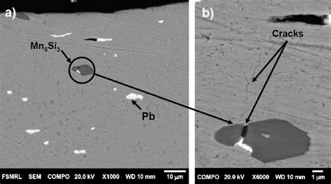 Surface Cross Section Sem Image Of Mn Si Brass Showing A Fractured