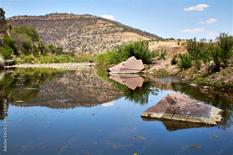 paisaje de la selva baja caducifolia con montañas aridas y un lago en