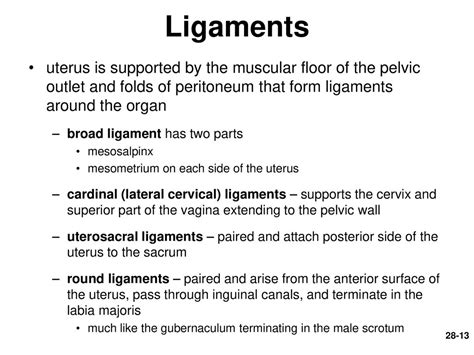 Female Reproductive System Ppt Download