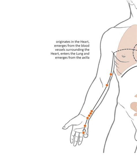 HT Acupuncture Points Diagram Quizlet