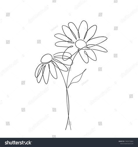 Daisy Flower Continuous Line Art Drawing Stock Vector Royalty Free