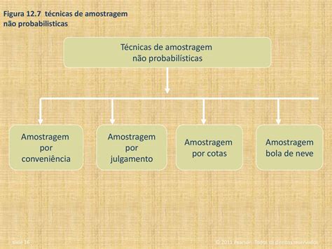 Amostragem Concepção e Procedimento ppt carregar