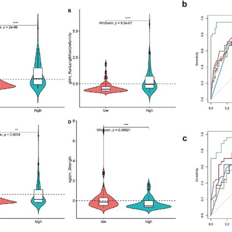 Selection Of Radiomic Features And The Development Of Radiomics Model