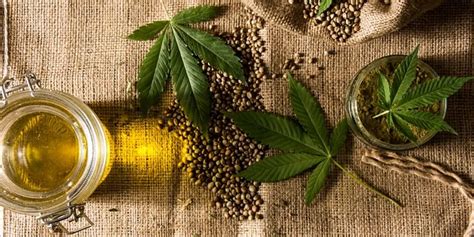 The Nutrition And Beauty Benefits Of Hemp And Why You Should Include