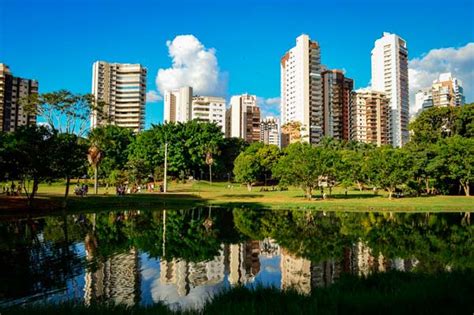 Quais são as cidades mais arborizadas do Brasil expresso arq