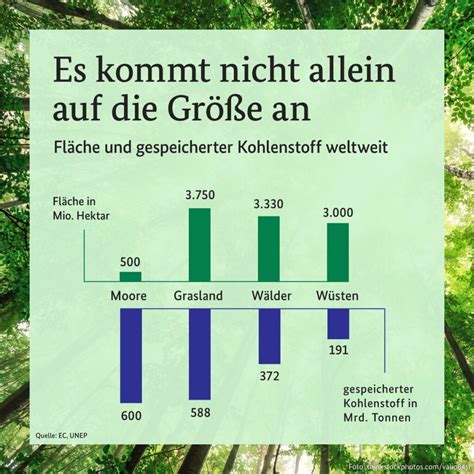 Aktionsprogramm Natürlicher Klimaschutz nbau NACHHALTIG BAUEN