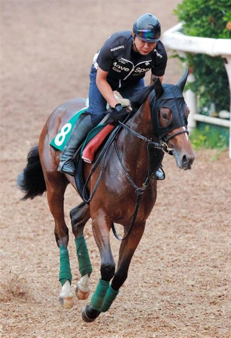 【pog】良血サプルマインドに師期待pogニュース競馬・レースデイリースポーツ Online