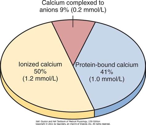 Calcium Homeostasis Flashcards Quizlet