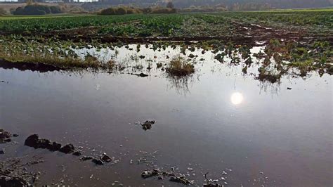 Spuszczanie Wody Z Drogi Dojazdowej Do Dzia Ki Pierwszy Dren Za O Ony