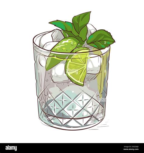 Mojito Cocktail Hand Drawn Cocktail With Ice Mint And Lime Vector