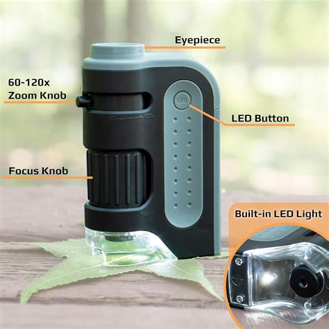 Buy Carson MicroBrite Plus 60x 120x LED Lighted Pocket Microscope