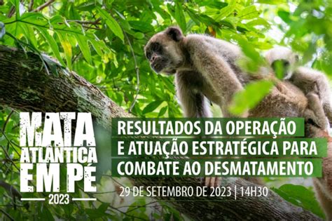 Resultados da Operação Mata Atlântica em Pé serão apresentados em live