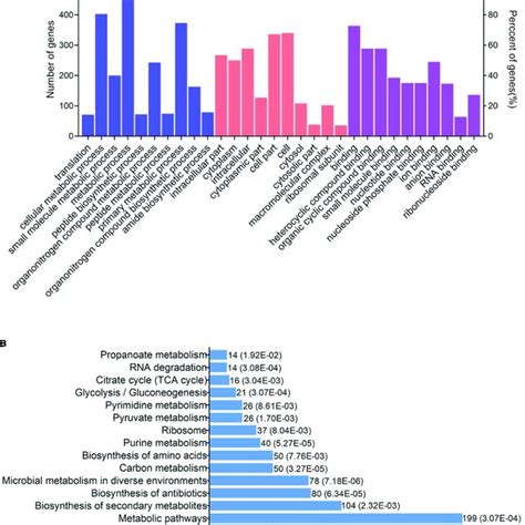 Bioinformatics Analysis Of Acetylated Proteins In V Mimicus A