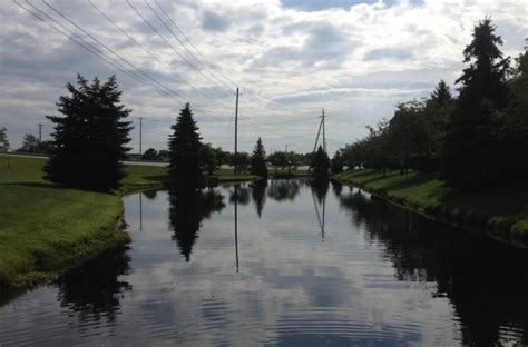 Central Ohio Pond Treatment