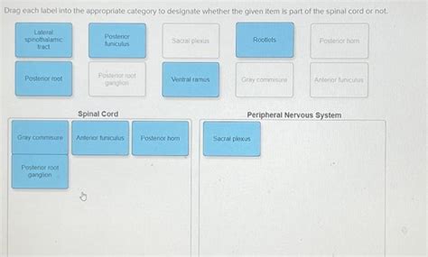 Solved Drag Each Label Into The Appropriate Category To Chegg