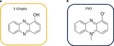 Frontiers Diagnosis And Stratification Of Pseudomonas Aeruginosa