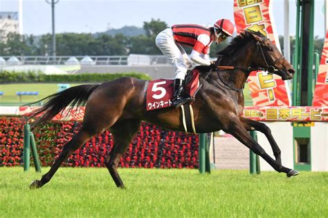 せきゆぅ©™️ On Twitter Rt Tospokeiba 21年目黒記念勝ち馬 ウインキートス が引退 コスモヴュー