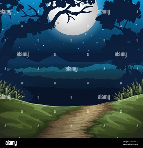 forest at night scene Stock Vector Image & Art - Alamy