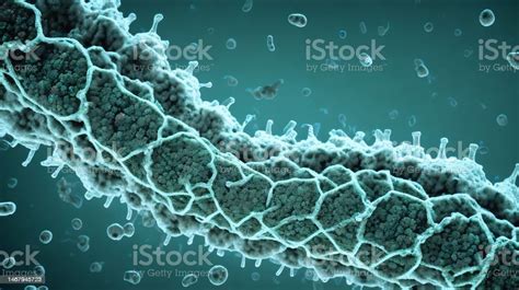 Marburg Virus Disease Concept Virus Illustration Idea 3d Rendering